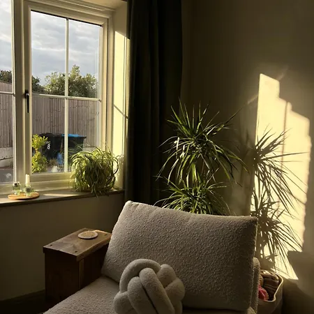 Stylish Double Females And Couples Only 民宿